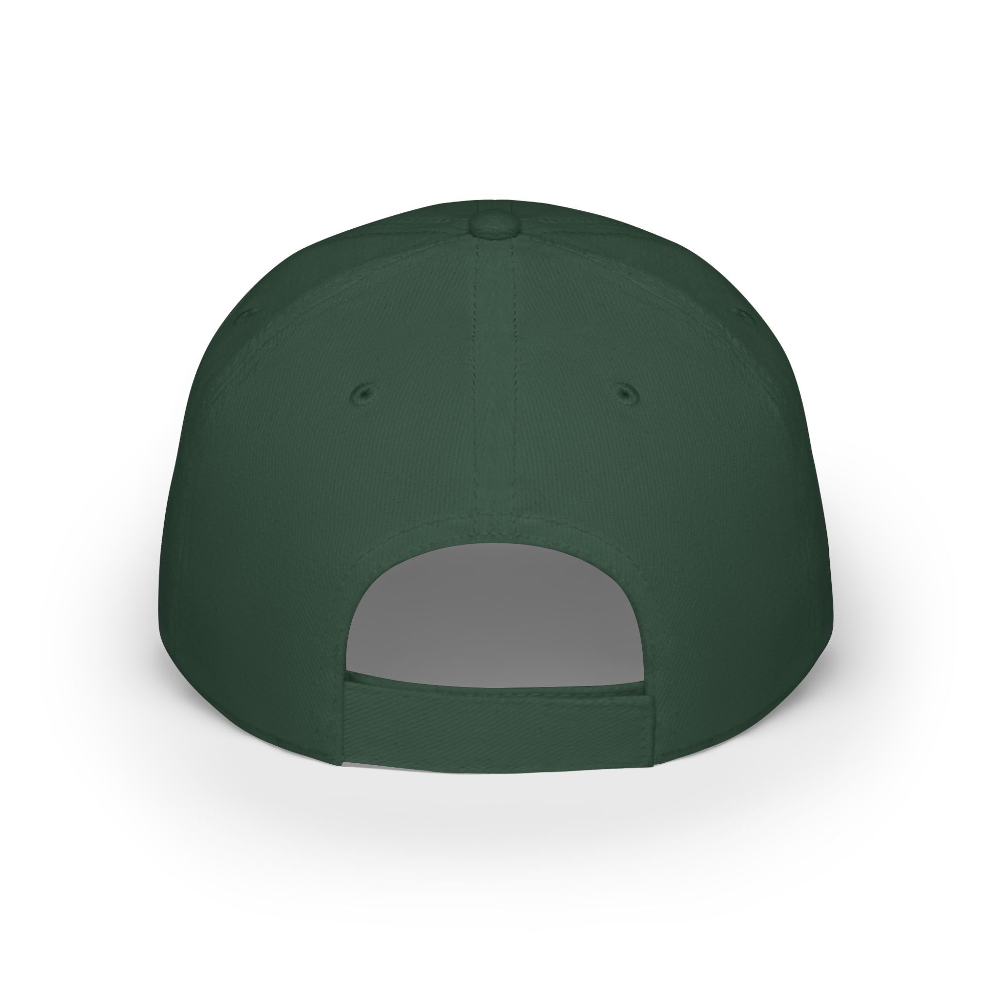 Sobriety Sisters  Baseball Cap